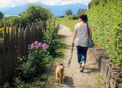 Frau geht mit ihrem Hund in der Natur spazieren. 